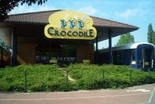 "Photo of Crocodile"