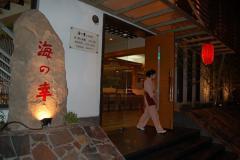 "Photo of Uminosachi"